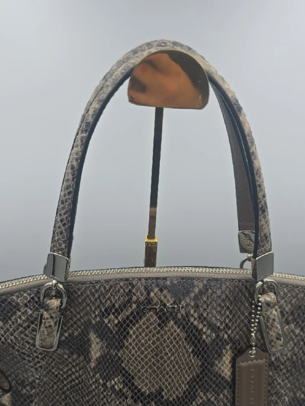 Coach Brown Snake-Print Satchel with Crossbody Strap